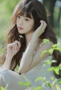 能够出海不雅鲸、看企鹅归巢
