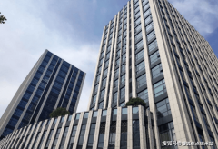 可能因分歧来目规划调整导致）-市场前景